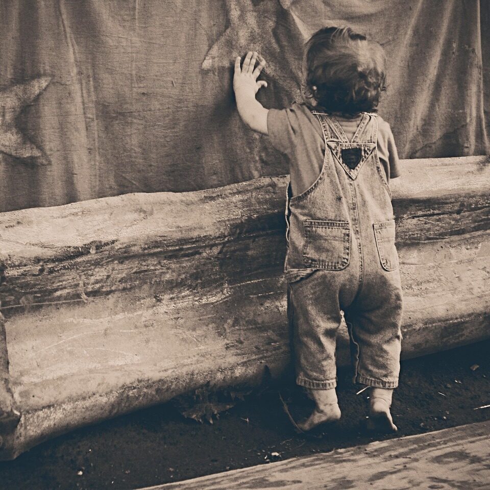 ryanmcguire-toddler-238466_1280